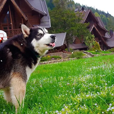 Tsarynka Eco Complex