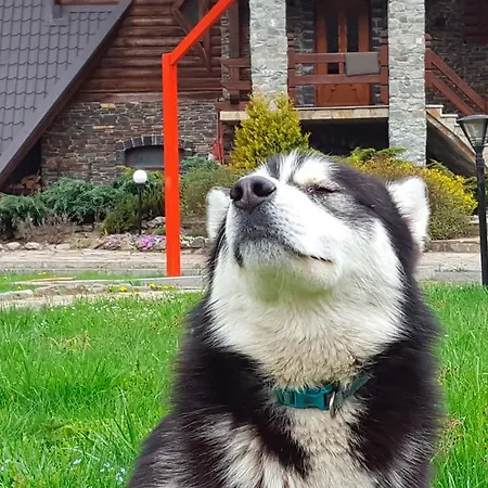 ホリデーパーク Tsarynka Eco Complex *