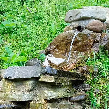 ホリデーパーク Tsarynka Eco Complex スラブスク