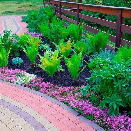 Tsarynka Eco Complex Славское