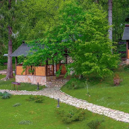 ホリデーパーク Tsarynka Eco Complex スラブスク