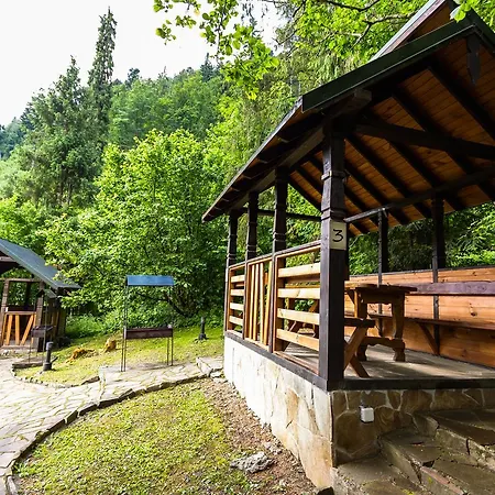 Tsarynka Eco Complex ホリデーパーク スラブスク