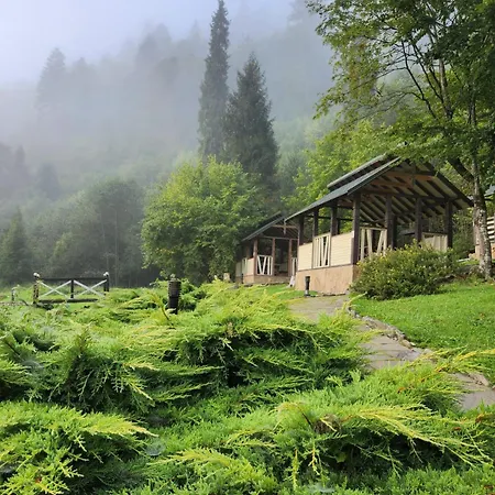 Holiday park Tsarynka Eco Complex