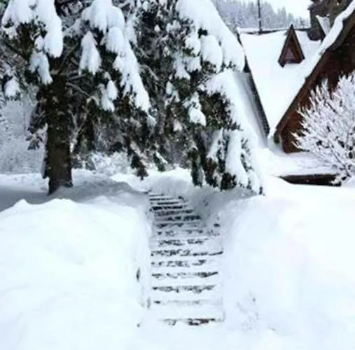 Holiday park Tsarynka Eco Complex *